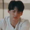 win metawin 19
