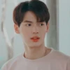 win metawin 20