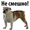 Не смешно!