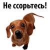 Не ссорьтесь!