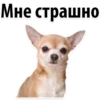Мне страшно