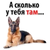 А сколько
у тебя там...