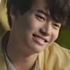 win metawin 26