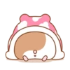 hamshi's routine 22
