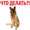 ЧТО ДЕЛАТЬ?!
