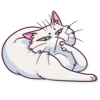 Meme Cats 29