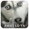 Dramas 5