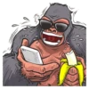 Mr. Gorilla 8