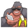 Mr. Gorilla 10