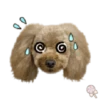 Dog expressions 6