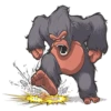 Mr. Gorilla 12
