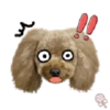 Dog expressions 10
