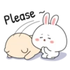 Tiny Ear Cincy & Gomabon 14