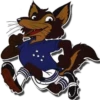 Cruzeiro Rama 16