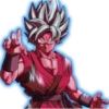 DragonBall 13