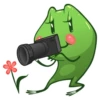 FROG 14