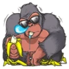 Mr. Gorilla 14