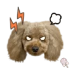 Dog expressions 13