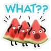 watermelon 10
