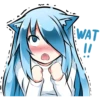 Muki Shy Cat 14