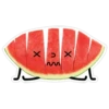 watermelon 13