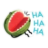 watermelon 14