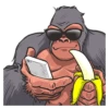 Mr. Gorilla 22