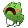 FROG 19