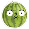 watermelon 16