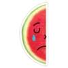 watermelon 17