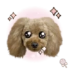 Dog expressions 21