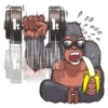 Mr. Gorilla 24