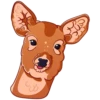 Mem deers 21