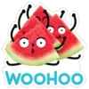 watermelon 20