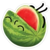 watermelon 22