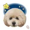 Dog expressions 25