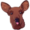 Mem deers 23