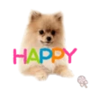 Dog expressions 26