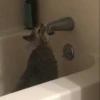 -Kitty 27