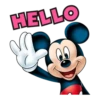 Mickey and Minnie 30
