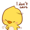 Cute Little Chicken 5