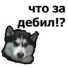 что за
дебил!?