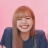 LISA 11
