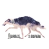 Dogs 9