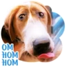 Dogs 10