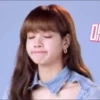LISA 13