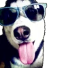husky_vader 9