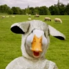 Duck Duck 9