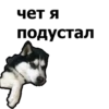чет я
подустал