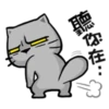 Cat claw scratching 6